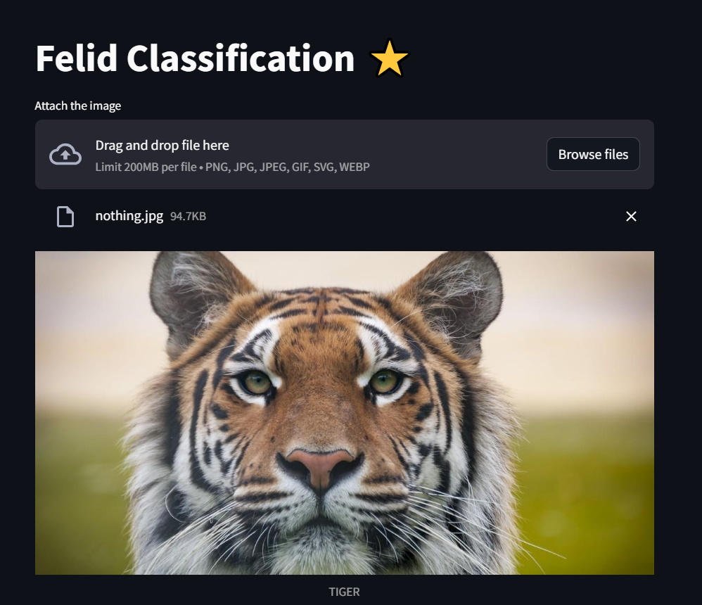 Felid Classification AI App